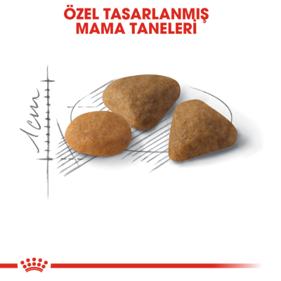 Royal Canin Savoury Exigent Yetişkin Kedi Maması 2 kg - 3