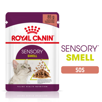 Royal Canin Sensory Smell Gravy Pouch Kedi Yaş Maması 85 Gr - 2