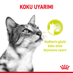 Royal Canin Sensory Smell Gravy Pouch Kedi Yaş Maması 85 Gr - 3