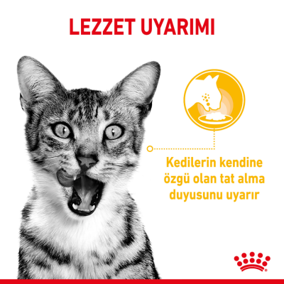 Royal Canin Sensory Taste Gravy Pouch Kedi Yaş Maması 85 Gr - 3