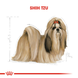 Royal Canin Shih Tzu Adult Yetişkin Köpek Maması 1.5 Kg - 4