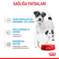 Royal Canin Starter Mother Babydog Yavru Köpek Konserve Maması 195 Gr - 5