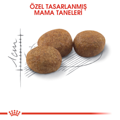 Royal Canin Sterilised 37 Kısırlaştırılmış Kedi Maması 10 Kg - 3