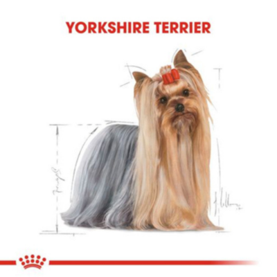 Royal Canin Yorkshire Terier Adult Pouch Köpek Yaş Maması 85 Gr - 5