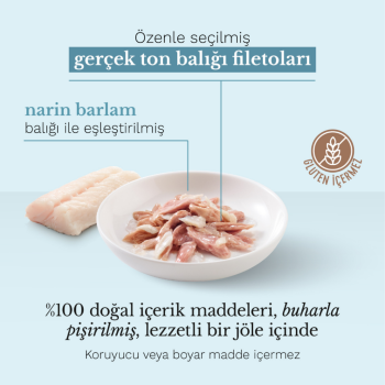 Schesir Cat Jelly Ton Balıklı ve Berlam Balıklı Kedi Konservesi 85 Gr - 2