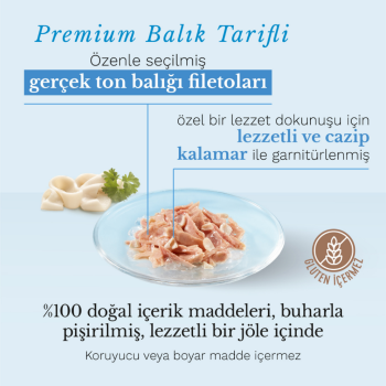 Schesir Cat Jelly Ton Balıklı ve Kalamarlı Jöle İçerisinde Kedi Konservesi 85 Gr - 2