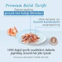 Schesir Cat Jelly Ton Balıklı Ve Karidesli Kedi Konservesi 85 Gr - 2