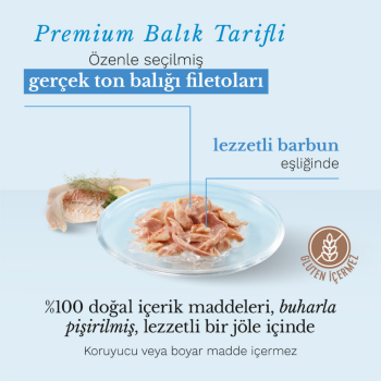 Schesir Cat Jelly Ton ve Barbunya Balıklı Kedi Konservesi 85 Gr - 2