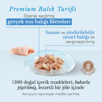 Schesir Cat Jelly Ton ve Sinarit Balıklı Jöle İçerisinde Kedi Konservesi 85 Gr - 2