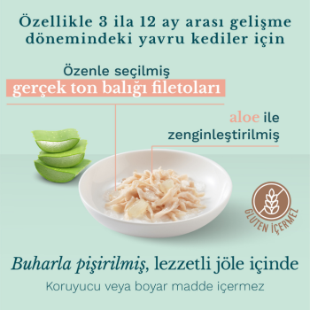Schesir Kitten Tavuk Etli Ve Aloeveralı Yavru Kedi Konservesi 85 Gr - 2